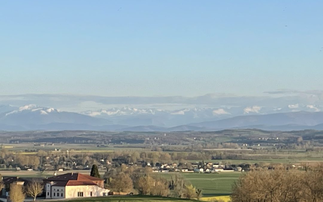 DOMAINE DE QUINTALONE