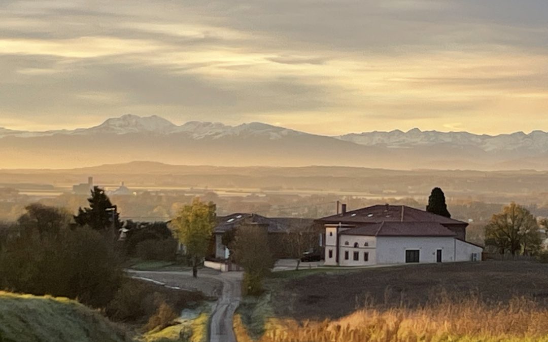 DOMAINE DE QUINTALONE