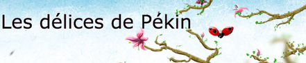 LES DELICES DE PEKIN
