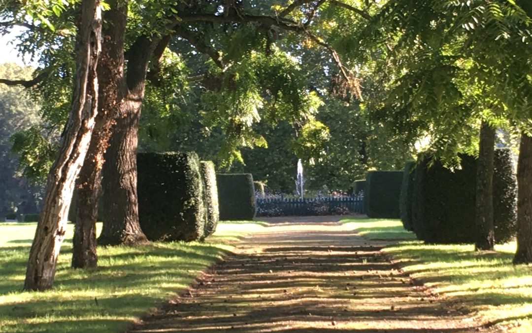 JARDIN DU SECOURIEU